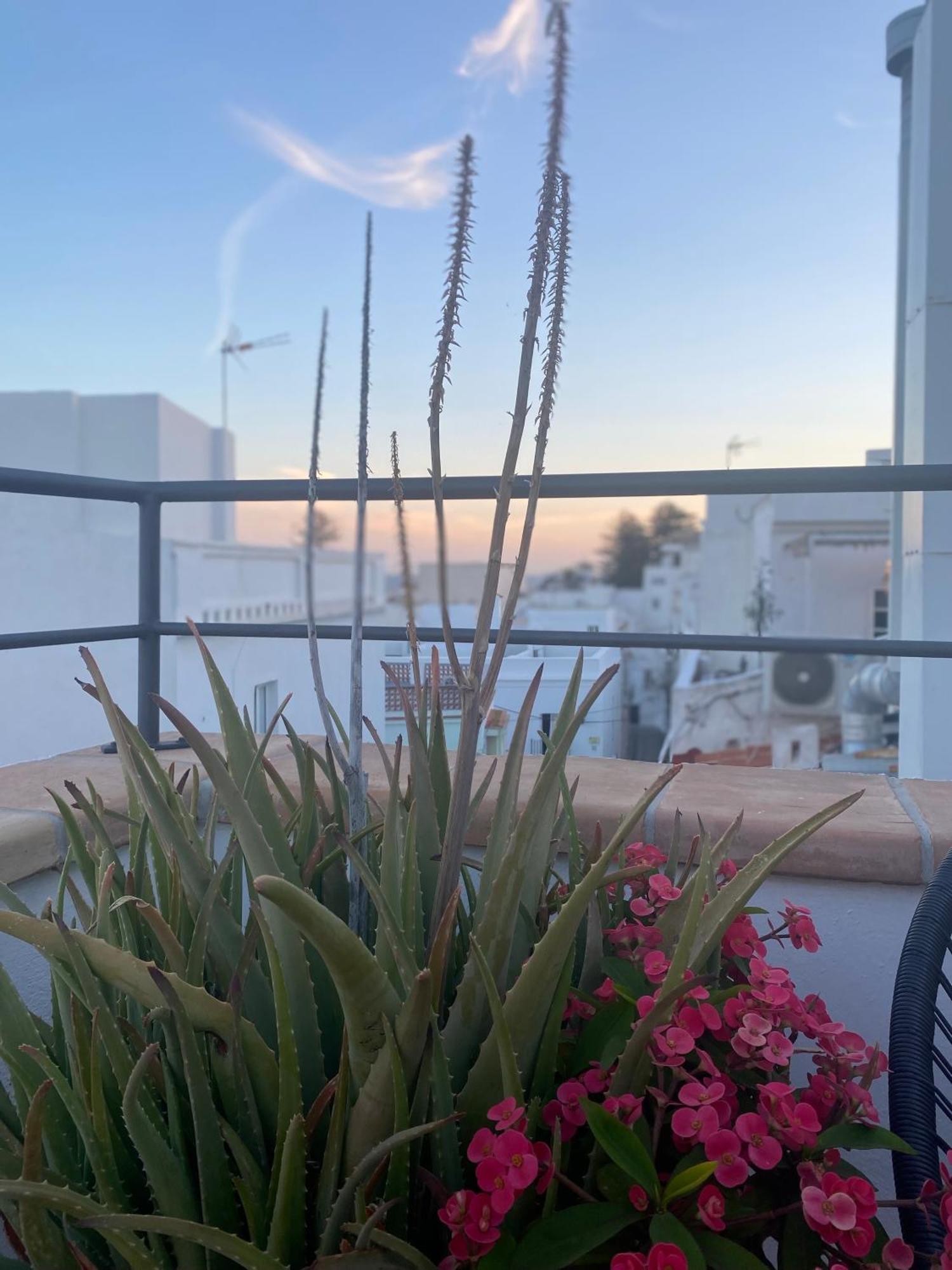 Old Town Comfort With Amazing Views At Silos 5 * Tarifa